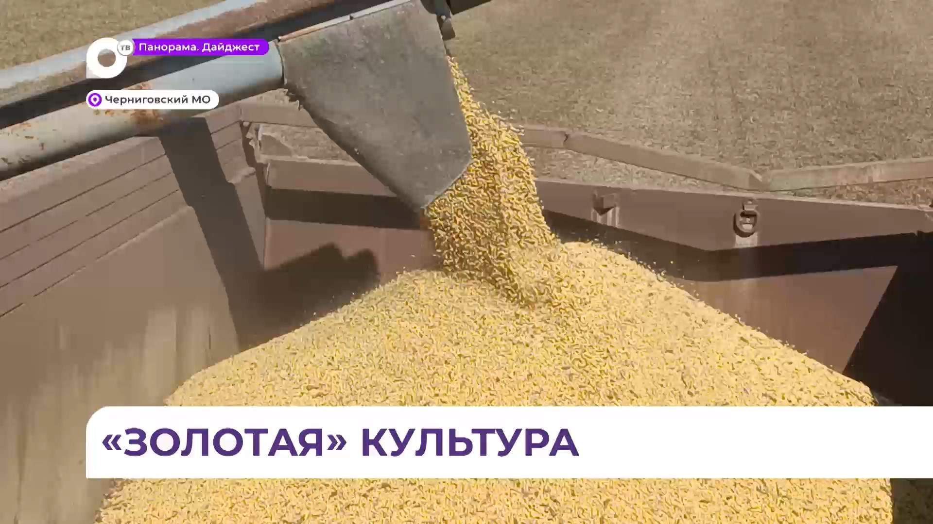  Уборка сои в Черниговке началась раньше срока