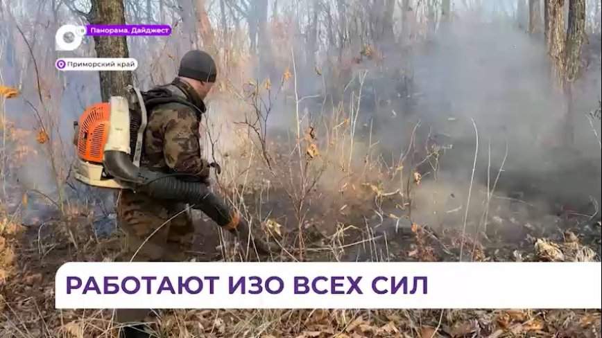 Более 80 человек тушат пожары в Надеждинском районе Приморья