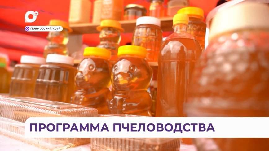 Программу по развитию пчеловодства разработали в Приморье