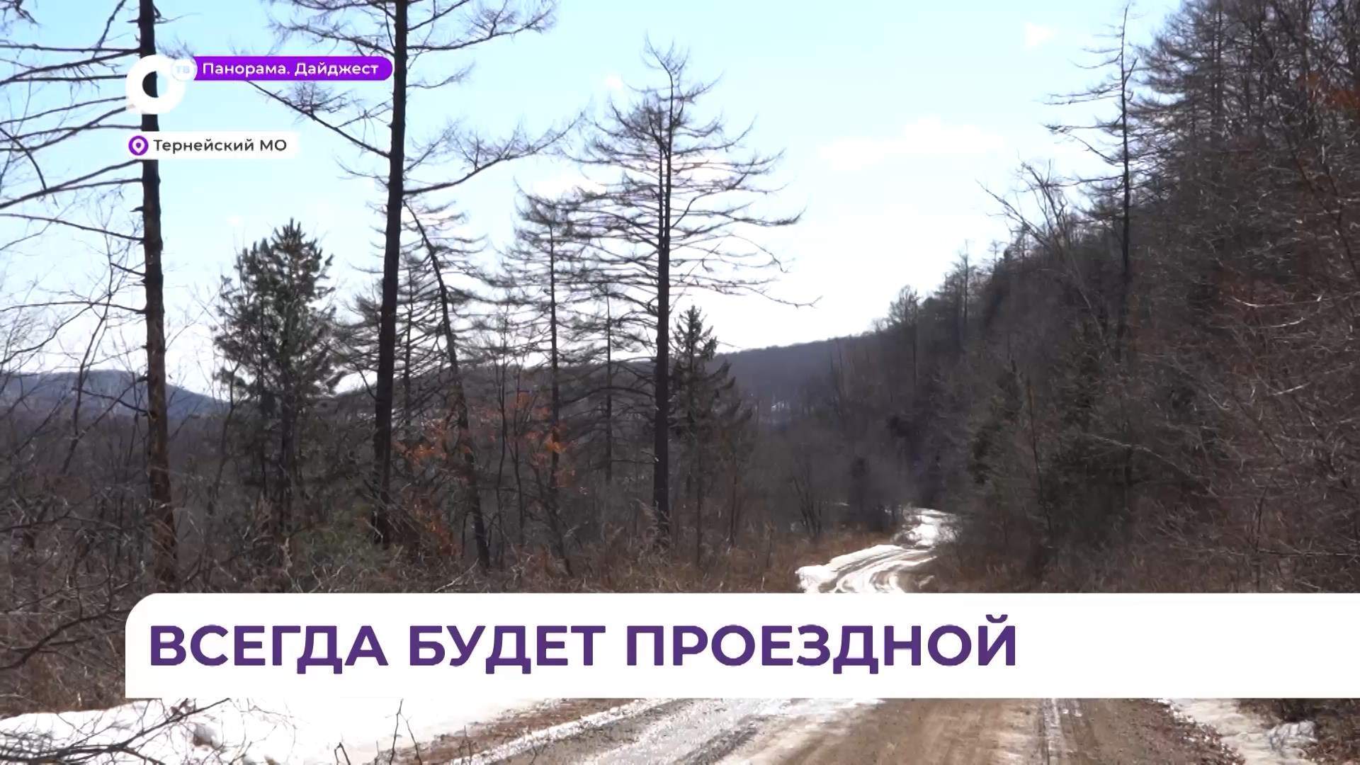 В Тернейском округе началось строительство новой дороги