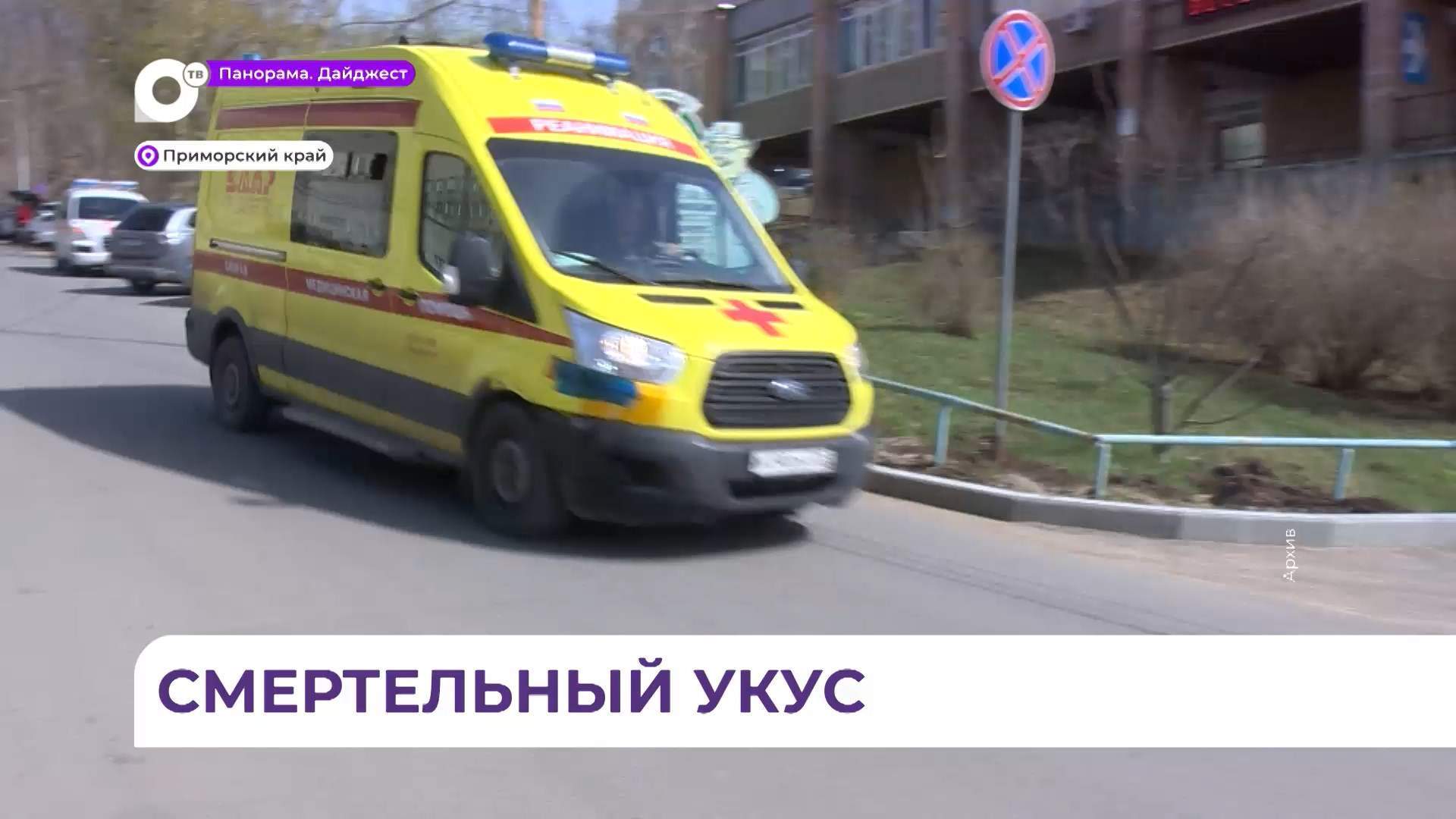 40-летний мужчина погиб во Владивостоке от укуса змеи