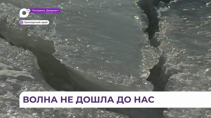 Объявленную в Приморье угрозу цунами сегодня отменили