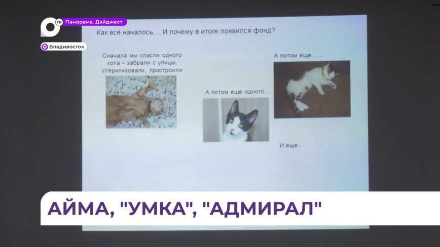Сотрудники фонда «Умка» провели урок добра для маленьких воспитанников хоккейной академии «Адмирал»