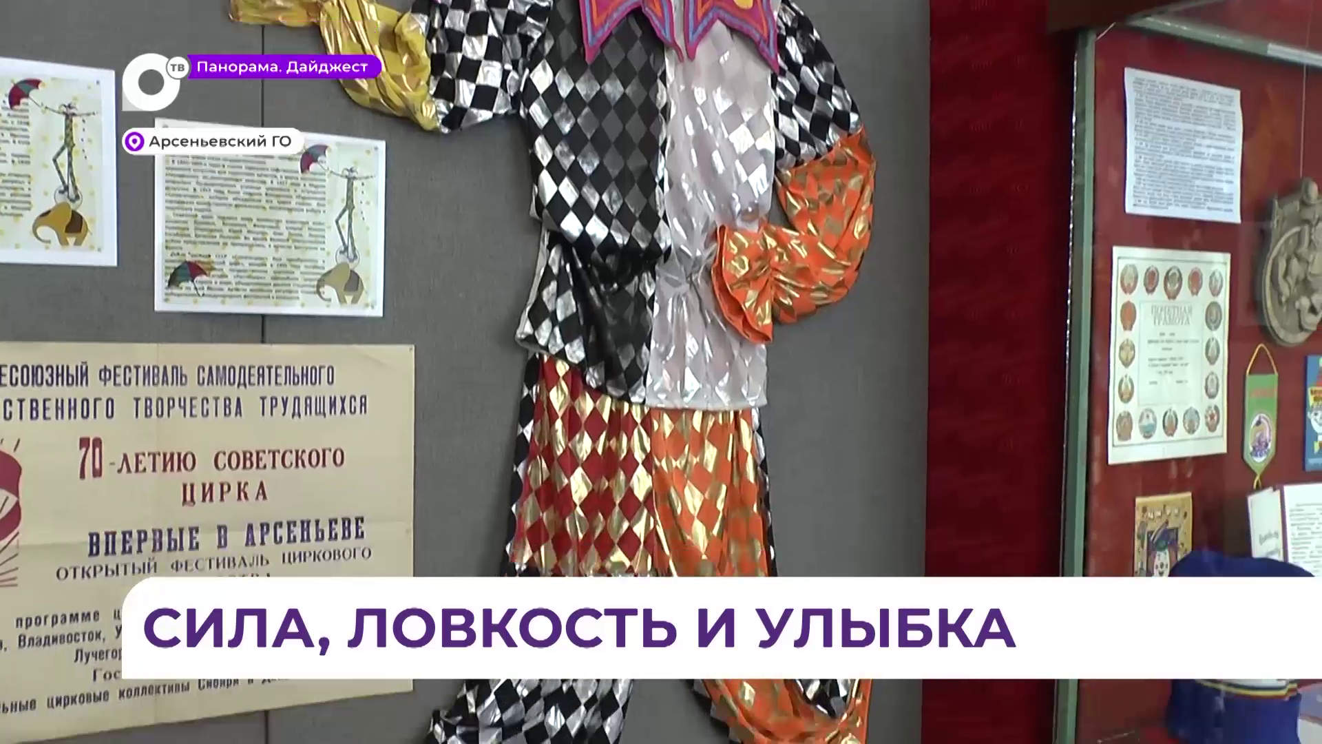 В Арсеньеве в музее истории открылась выставка, посвящённая 55-летию школы циркового искусства