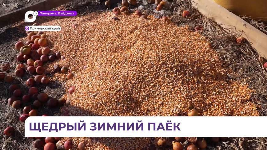 В приморских заказниках началась зимняя подкормка копытных животных