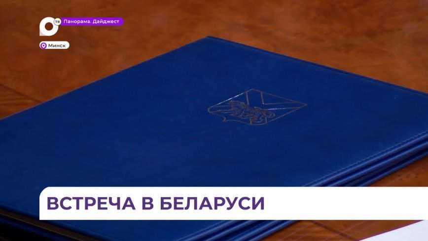 Укрепление торгово-экономических отношений обсудили на встрече Александр Лукашенко и Олег Кожемяко