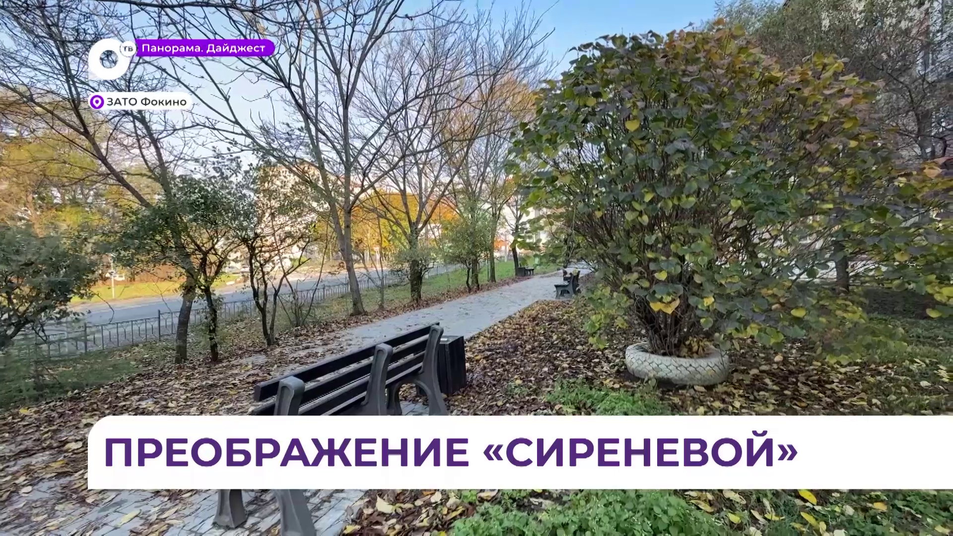 «Сиреневая аллея» в Фокино шаг за шагом превращается в современное пространство для отдыха