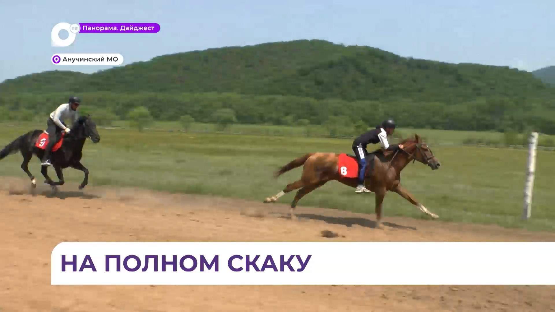  В Приморье любители верховой езды открыли сезон спортивных скачек