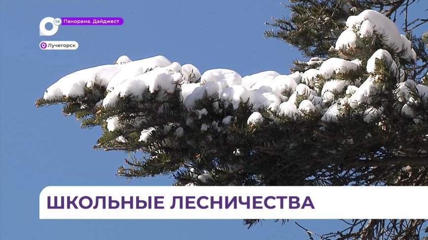 Юные лесоводы из Лучегорска вместе с наставниками провели экологический рейд на территории тайги