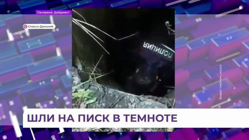«Ты как здесь оказался, дурак?»: неожиданную находку обнаружил ночью полицейский патруль