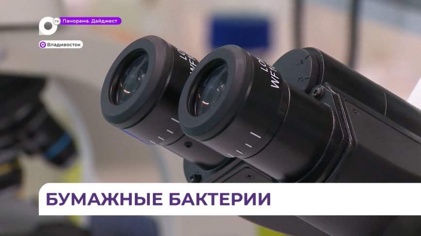 «Суббота городского школьника»: во Владивостоке проводят занятия по микробиологии для детей