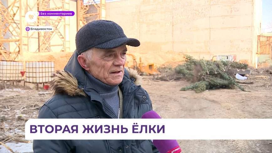 Без комментариев. Утилизация ёлок