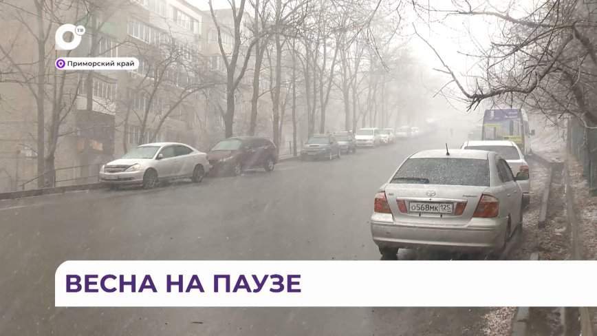 Зима вернулась в Приморский край