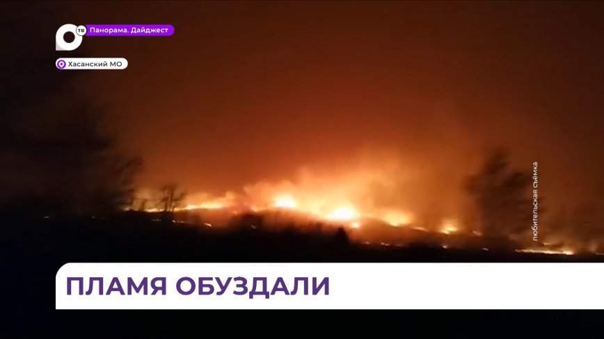 Природные пожары в Хасанском районе взбудоражили пользователей соцсетей