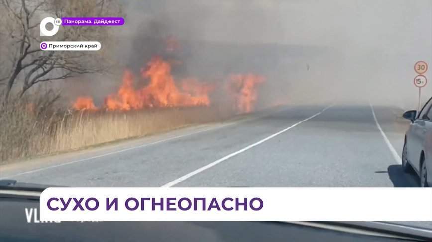 Пожары не унимаются по всему Приморью