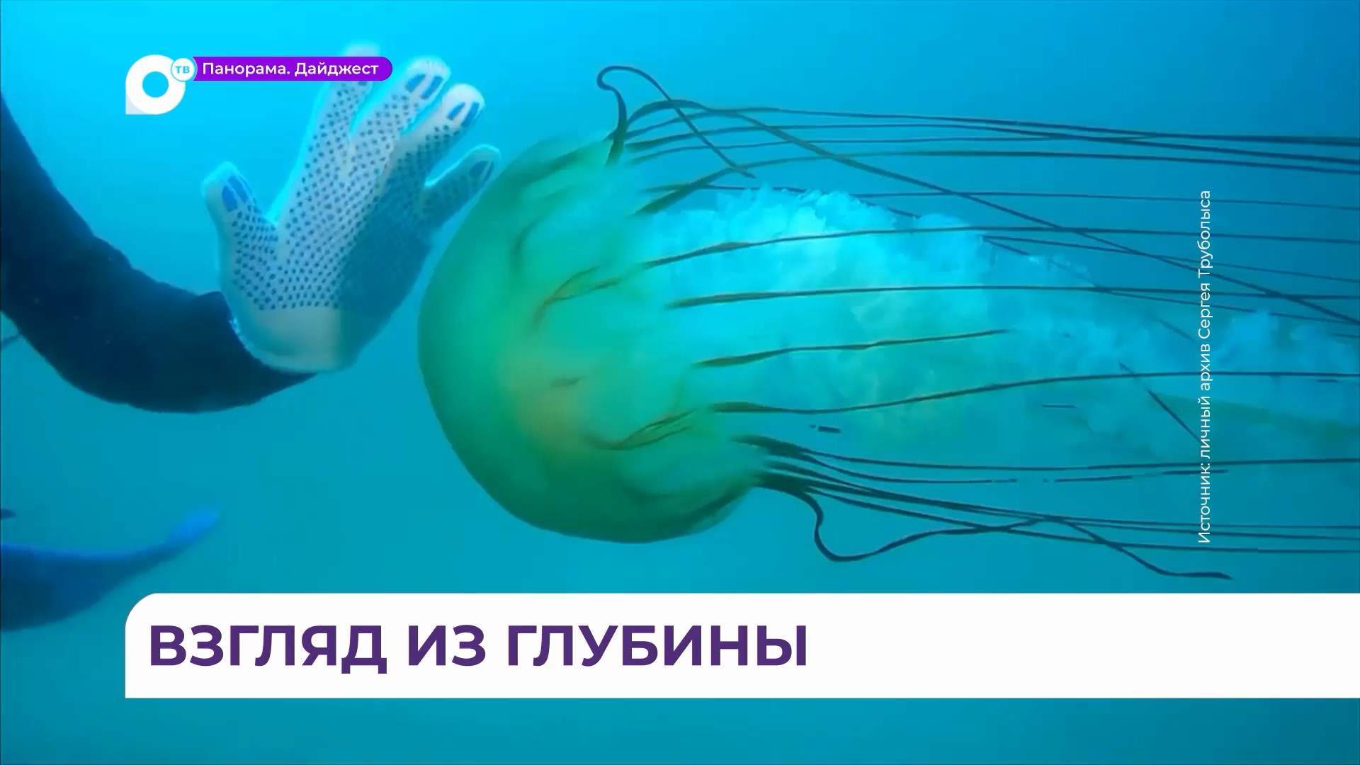 Водолаз Сергей Труболыс делает красивые кадры под водой даже во время дождя