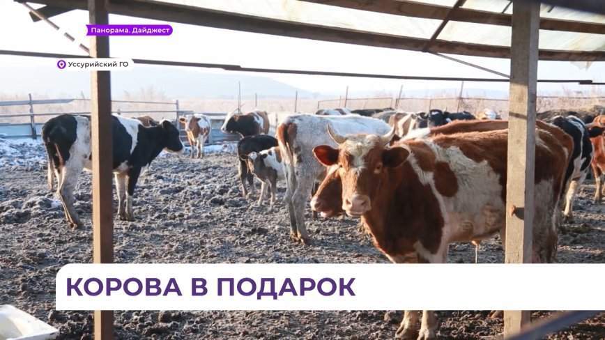 Фермер из Уссурийского округа приняла участие в  «Эстафете добра»