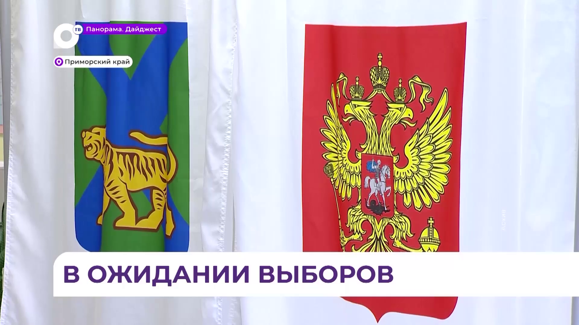 Избирательная кампания в Приморье вышла на финишную прямую