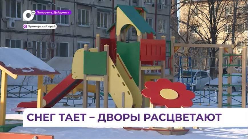 Рекордное число заявок подали ТОС Владивостока на конкурс грантов в этом году