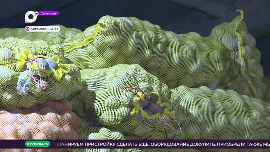 Сельсовет / Сохранить и накормить / 04.02.23