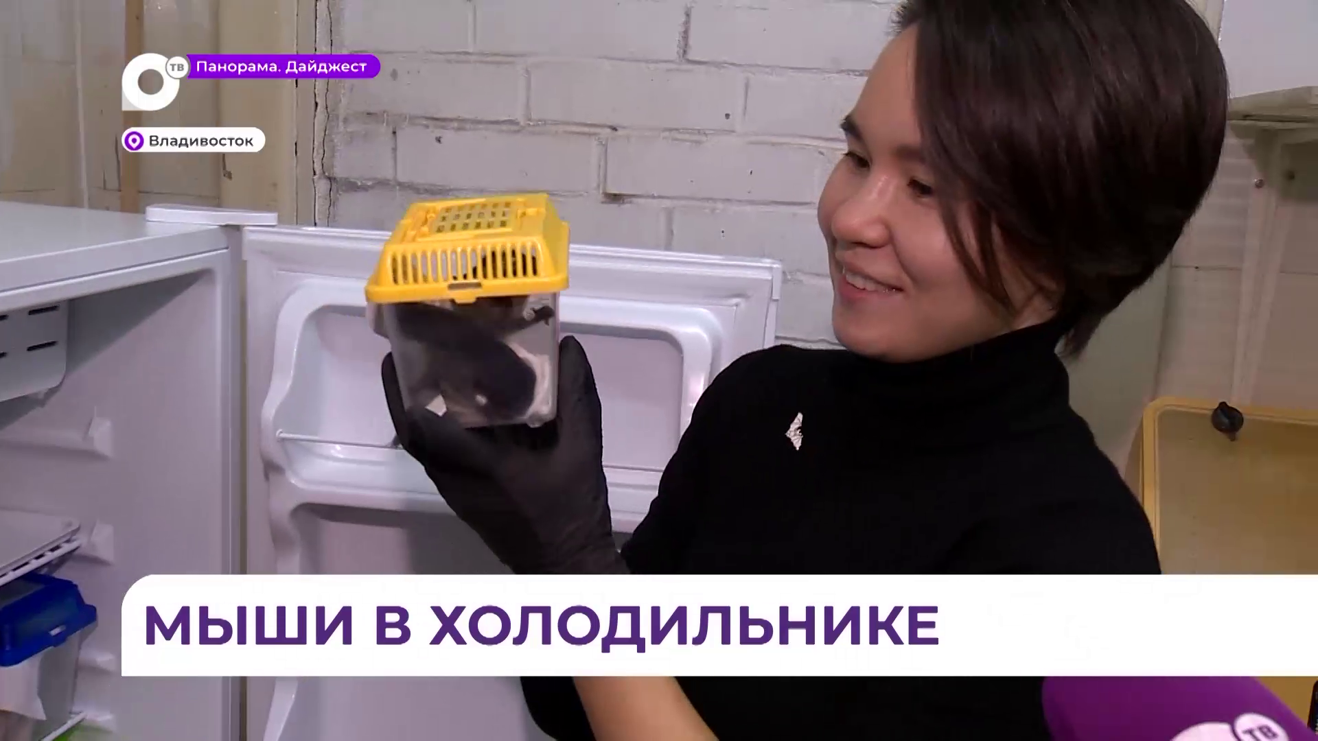 Забавный и незваный гость устроил переполох в одной из новостроек Владивостока