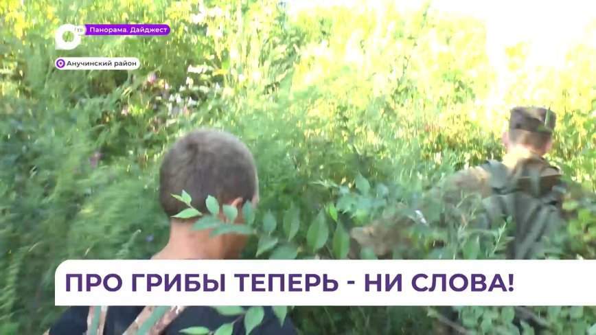 Заблудившуюся в приморском лесу женщину до сих пор не отпускает испытанный шок