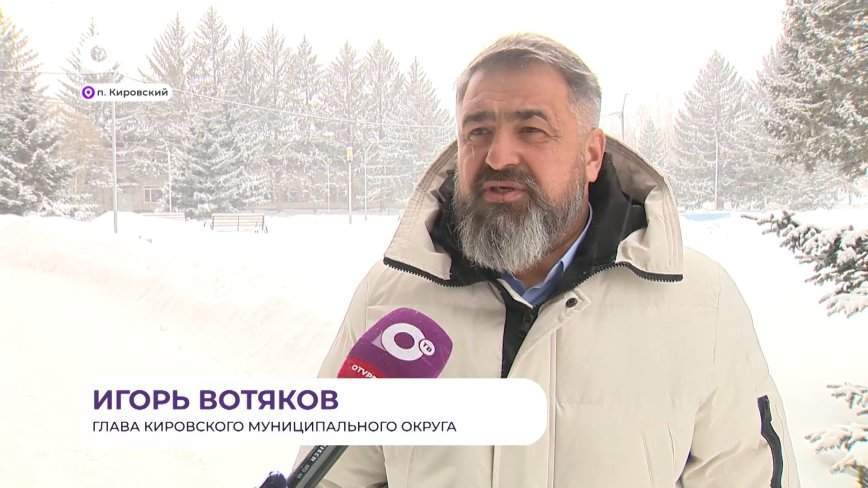 Прямая речь. О бродячих собаках