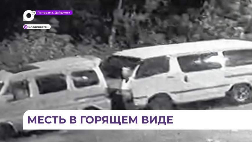 Во Владивостоке полиция задержала автомобильного поджигателя