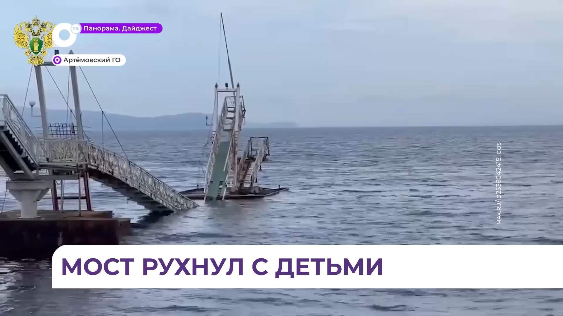 Пешеходный мост рухнул в Артеме в бухте Муравьиной