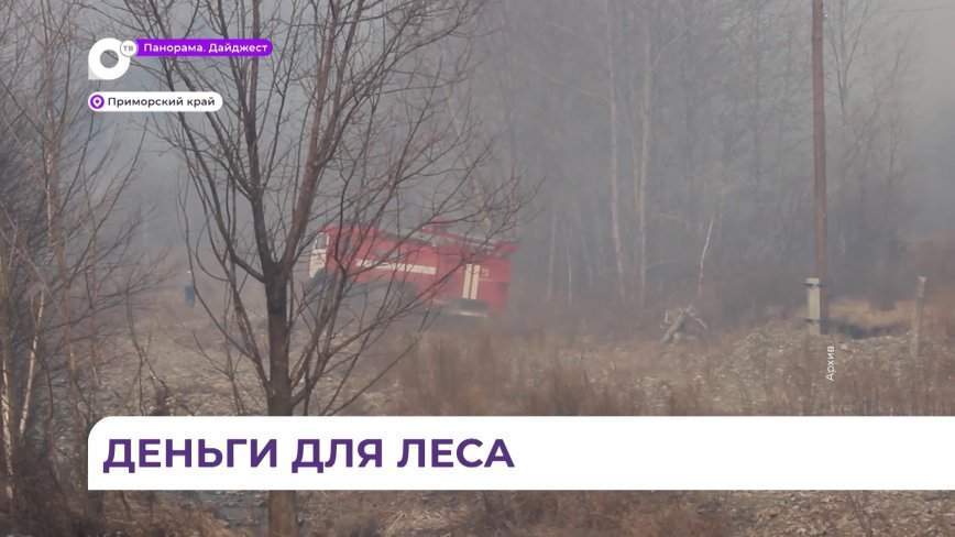 В этом году Дальний Восток получит на охрану лесов почти десять с половиной миллиардов рублей