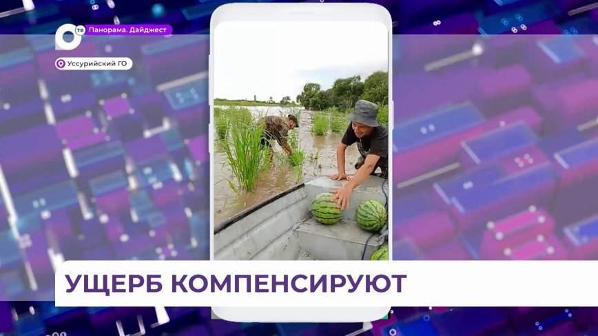 Тайфун не пощадил поля и теплицы: арбузы вылавливают в Приморье