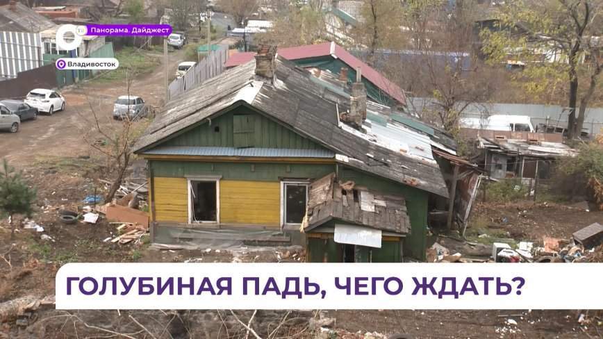 Голубиная Падь — чего ждать? Во Владивостоке появится район будущего