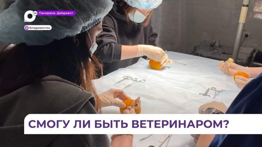 Открытый урок для школьников прошёл в одной из ветклиник Владивостока