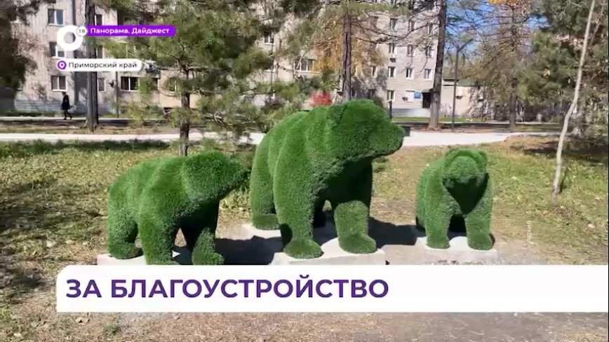 В Приморье 15-17 марта откроют пункты для голосования за территории благоустройства