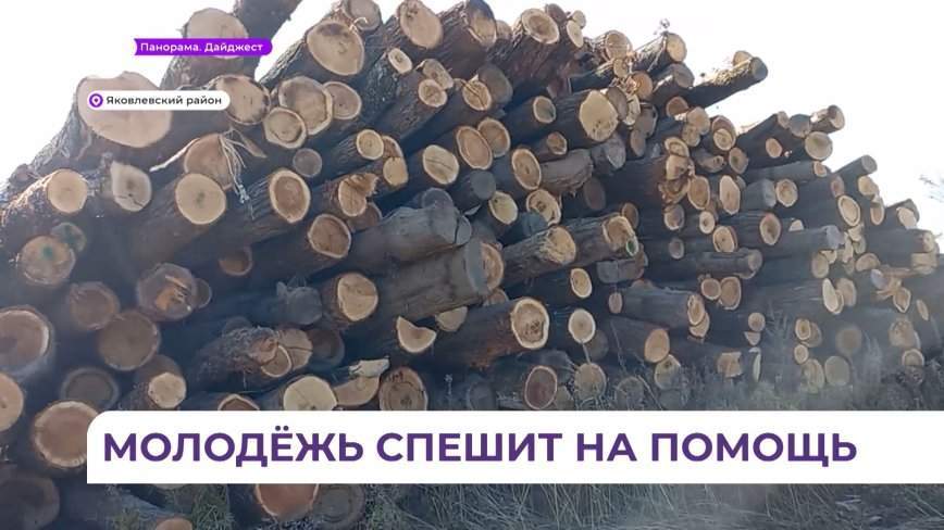 Юнармейцы и волонтёры продолжают помогать семьям мобилизованных