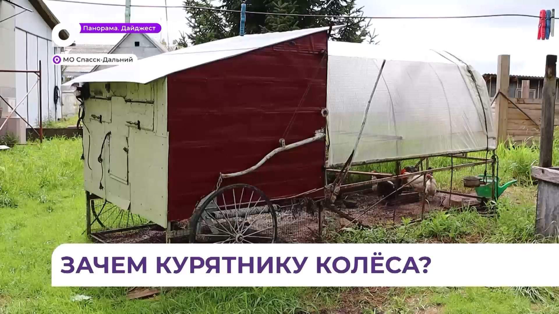 Конструктор-самоучка из села Спасское изобрёл курятник на колёсах