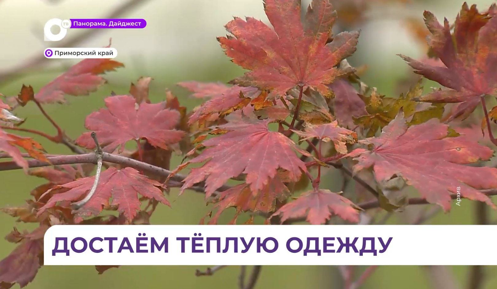 Неделя в Приморье ожидается с «эмоциональными» температурами