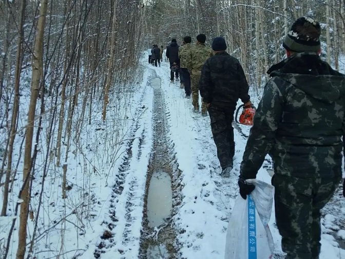 Массовое задержание табора провели полицейские в лесу в Приморье