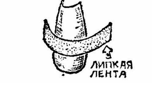 Какую часть тела и от чего защищало данное изобретение?