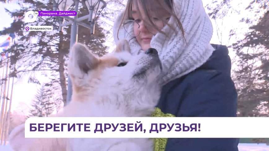 Трех породистых щенков передал новым хозяевам губернатор Приморского края