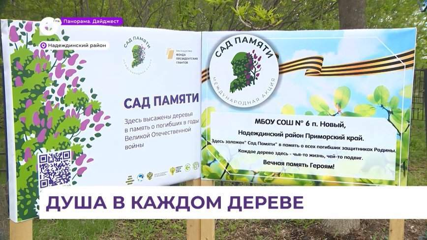 «Сад памяти» с кедрами и берёзами украсит посёлок Новый