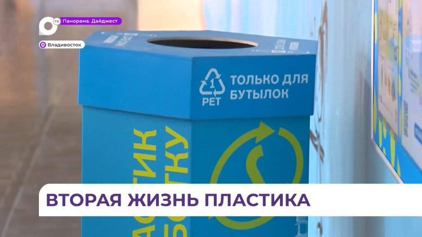 Во Владивостоке стартовал проект по проведению в школах экологических уроков
