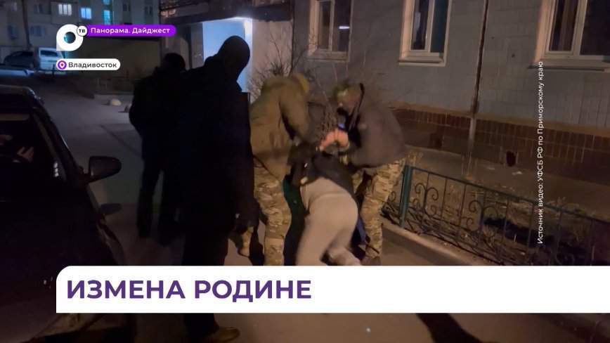 Жителя Приморья подозревают в государственной измене