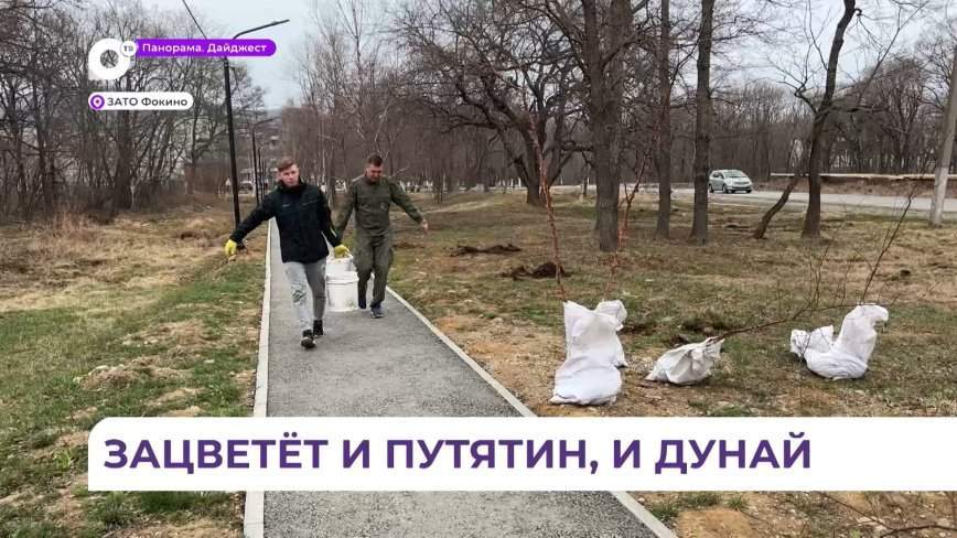 В Фокино проходит большая кампания по озеленению городского округа