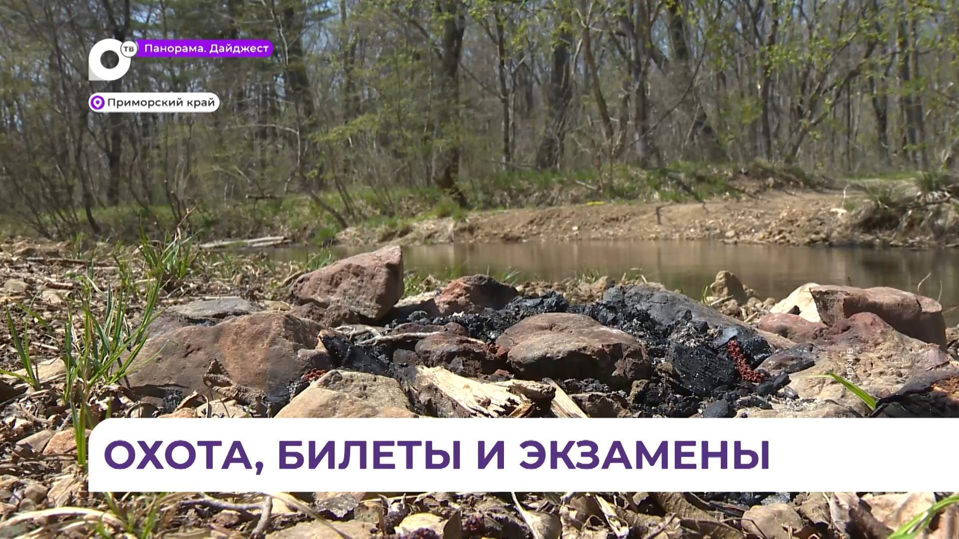 В Приморье вступят в силу новые правила выдачи охотничьих билетов