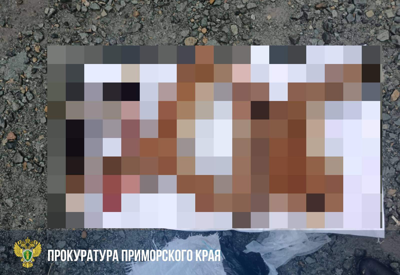 Жуткую находку обнаружили в багажнике авто, остановленном на трассе в Приморье 