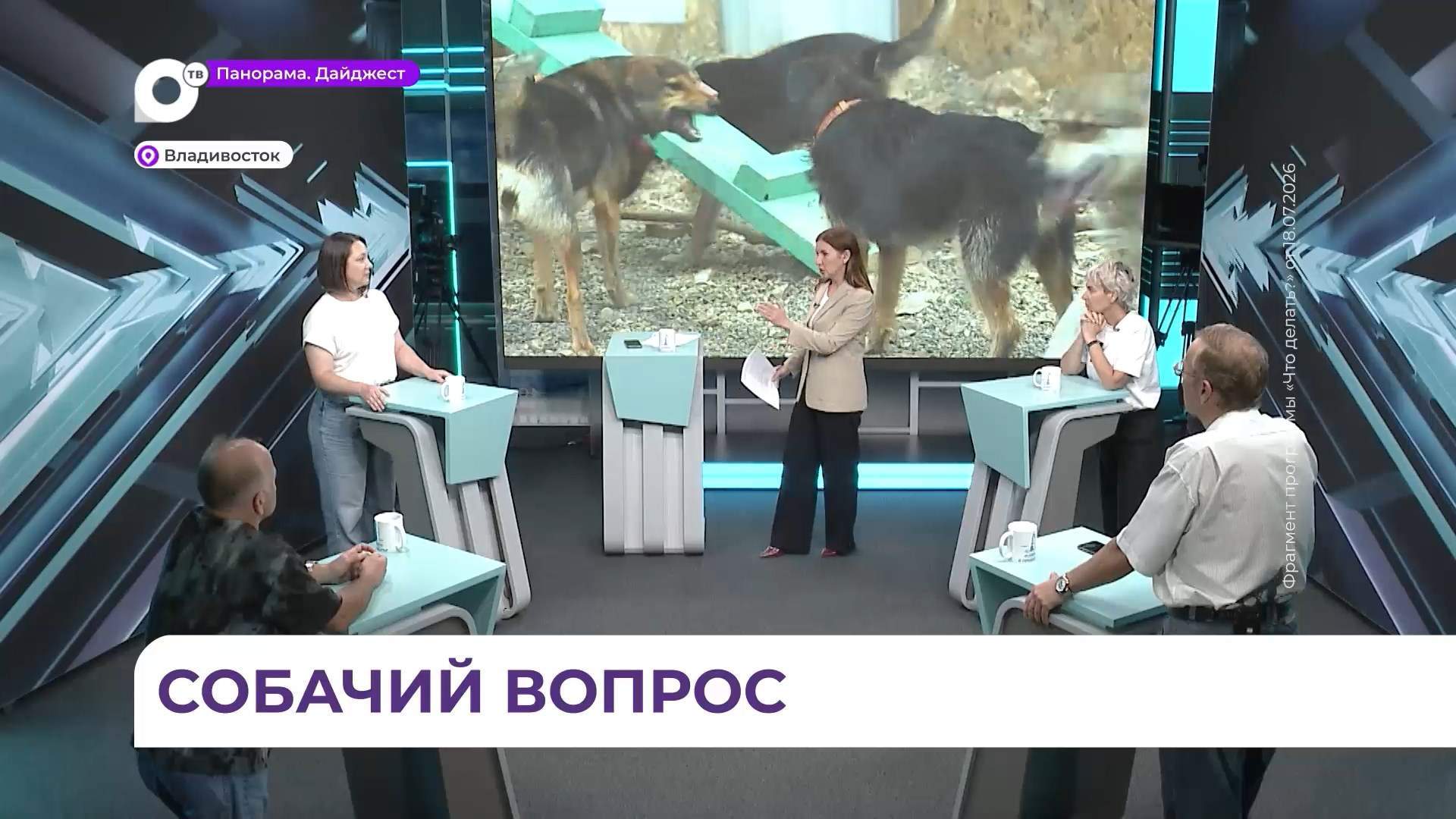 Полезными советами по выгулу собак поделились эксперты в программе «Что делать?» на ОТВ