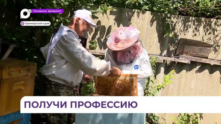 Выпускники школ Приморья могут получить профессию пчеловода