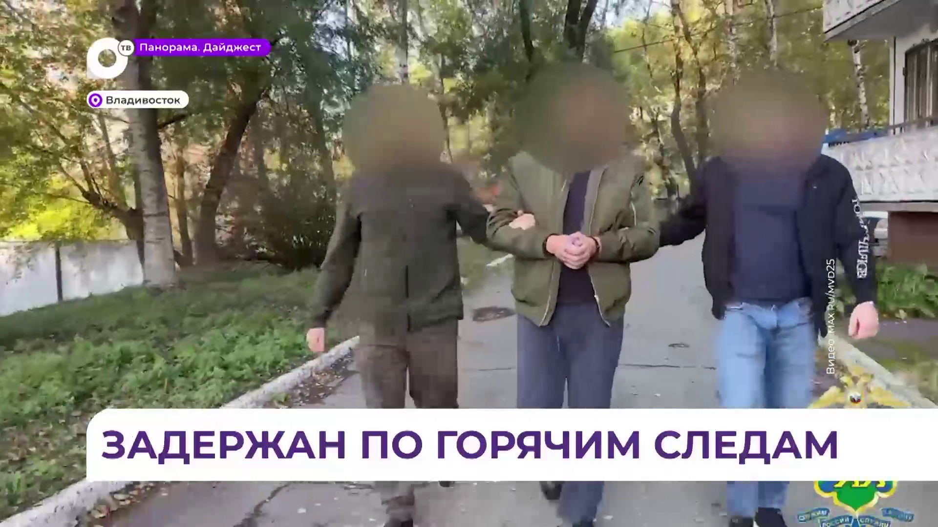 Полиция Владивостока задержала подозреваемого в  двойном убийстве и поджоге на улице Русской