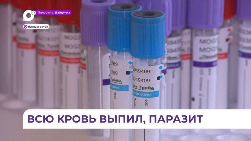 Приморские врачи рекомендуют вовремя вакцинироваться от клещевого энцефалита